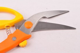 Tijera para trinchar aves en blister (1).jpg